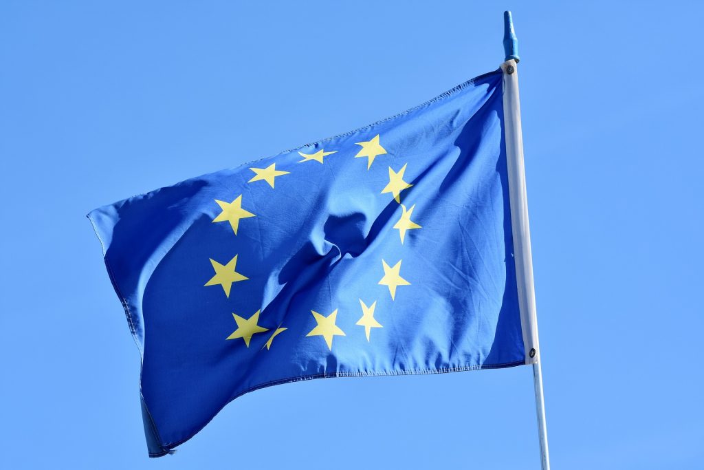 Europe Flag with schengen